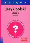 Ściąga Język polski 1 Liceum