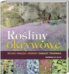 Rośliny okrywowe (kdc)