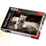 Puzzle 1500 Bengalski tygrys