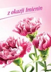 Karnet B6 kwiaty imieniny, różowe goździki FF1264