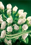 Karnet B6 kwiaty imieniny, białe róże 1213