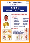 Atlas anatomiczny. Encyklopedia zdrowia