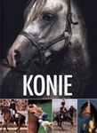 Konie  (OT)