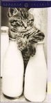 Kartka Kot z butelkami