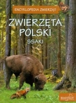 Encyklopedia zwierząt. Zwierzęta polski