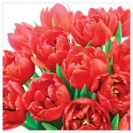 Karnet kwiatowy FF78 czerwone tulipany