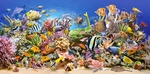 Puzzle 4000 elementów Underwater Life *