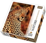 Puzzle 1000 Lampart - Nature Limited Edition
