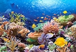 Puzzle 1000 Coral Reef Fishes *
