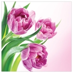 Karnet kwiatowy FF76 różowe tulipany