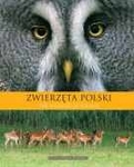 Zwierzęta Polski (tania książka)