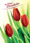 Karnet B6 kwiaty urodziny, czerwone tulipany FF1201
