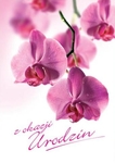 Karnet B6 Kwiaty Urodziny, różowa orchidea FF1202
