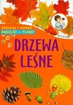 Drzewa leśne Młody obserwator przyrody