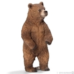 Niedźwiedzica grizzly