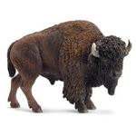 Amerykański bizon  (SLH14714)