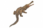 Collecta Dinozaur Sarcosuch Rozmiar L