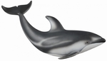 Collecta Delfin pacyfic