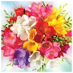 Karnet kwiatowy KW FF85 bukiet kolorowych kwiatów