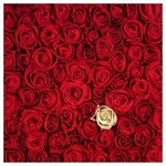 Karnet kwiatowy KW czerwone i jedna biała róża FF15