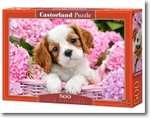 Puzzle 500 elementów Pup in Pink Flowers