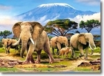 Puzzle 300 elementów Kilimanjaro Morning *