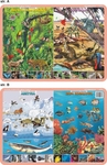 Podkładka edukacyjna. Zwierzęta świata - dżungla amazońska, Australia, Arktyka, rafa