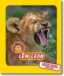 Świat dzikich maluchów Lew Leon