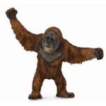 Collecta. Orangutan