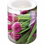Lampion Fuchsia Tulips ADL046801