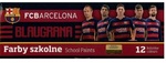 Farby plakatowe FCB Barcelona 12kol. 20 ml 301216004