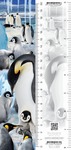 Zakładka 3D  - Pingwiny