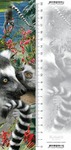 Zakładka 3D  - Lemur