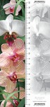 Zakładka 3D - Orchidea