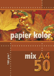 Papier kolorowy A4 50k 160g mix kolorów