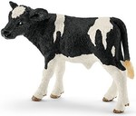 Cielę rasy Holstein  (SLH13798)