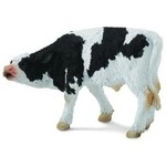 Krowa rasy Simentalskiej  (SLH13801)