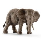 Samica słonia afrykańskiego  (SLH14761)