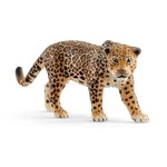 Jaguar  (SLH14769)