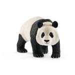 Panda wielka samiec  (SLH14772)