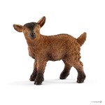 Młoda koza  (SLH13829)