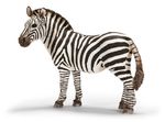 Zebra klacz