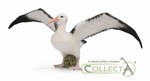 Collecta. Albatros Wędrowny
