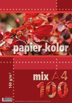 Papier kolorowy A4 100k 160g mix kolorów