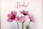 Kartka "Dziękuje" - różowe anemony