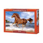 Puzzle 500el. Horse on the beach *