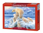 Puzzle 1000 Arctic kingdom *