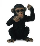 Collecta Szympans młody myślący