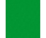 Filc dekoracyjny zielony 20x30 "10