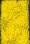 Pompony 1000 szt. żółte 1,5 cm